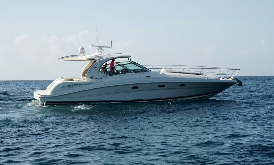 Sea Ray 42 | Sea Ray