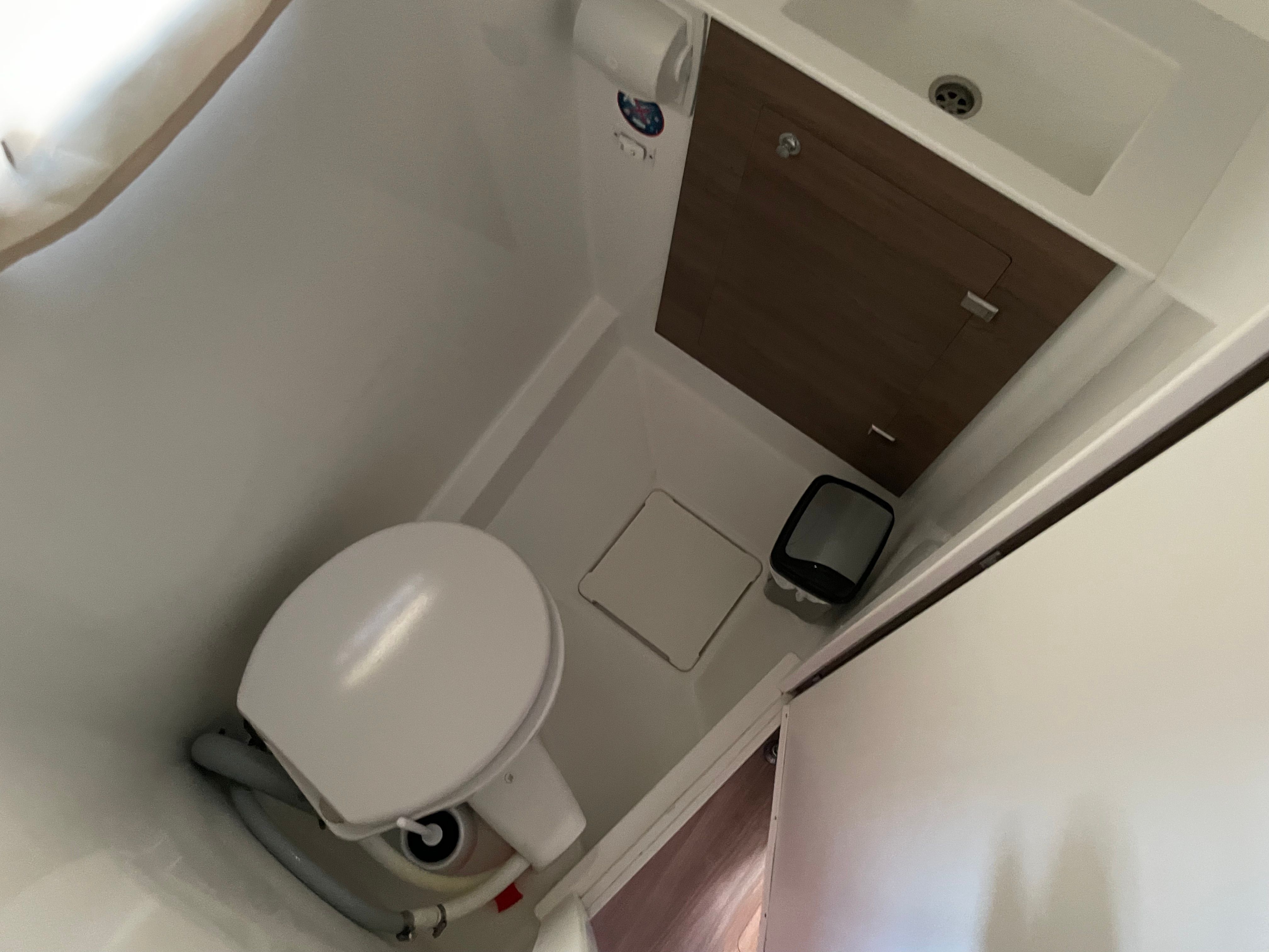 Bali Catspace | Free Flow