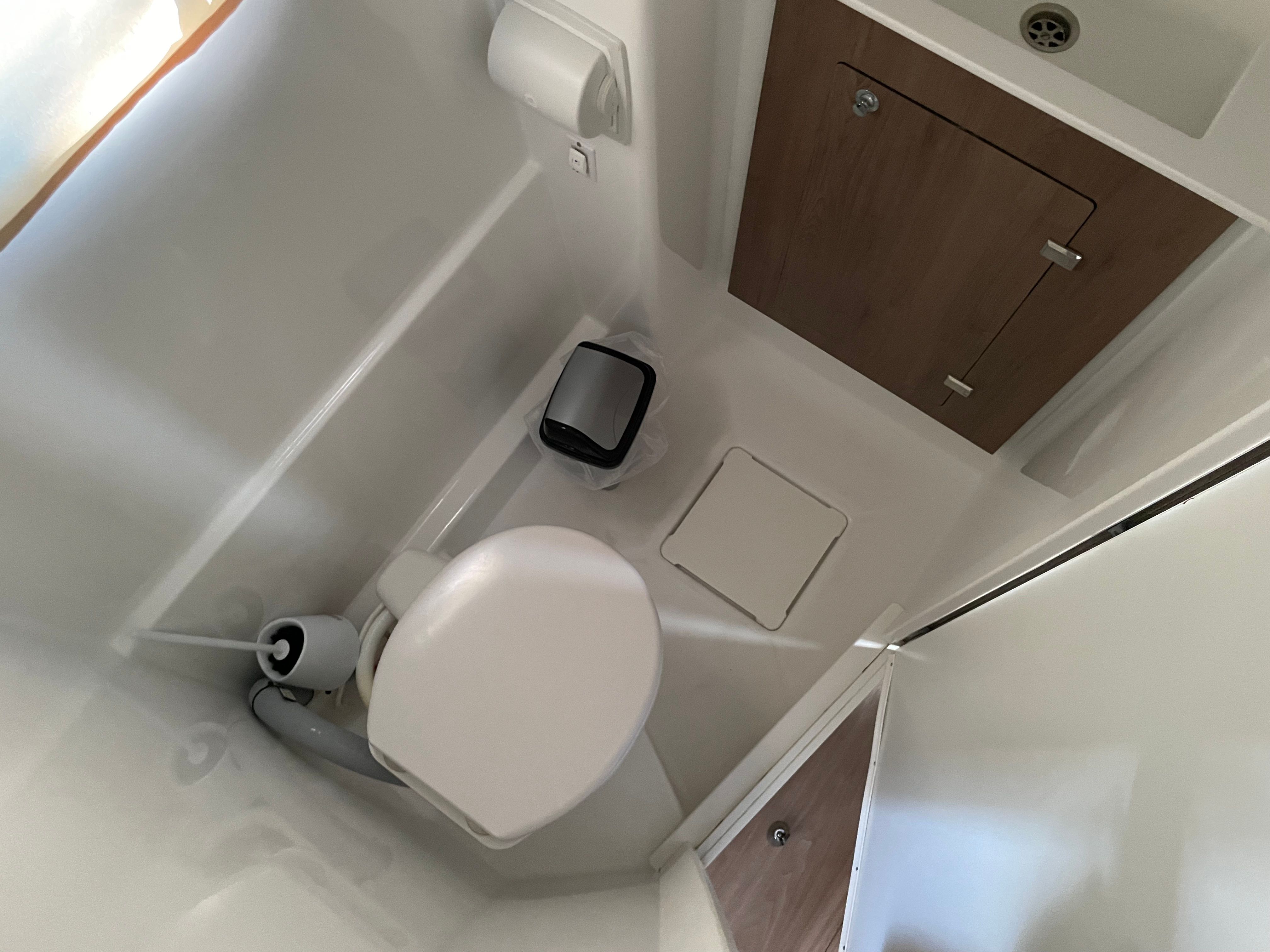 Bali Catspace | Free Flow