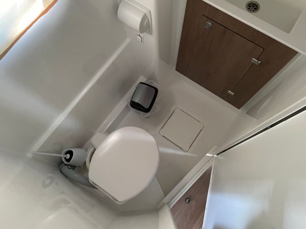 Bali Catspace | Free Flow