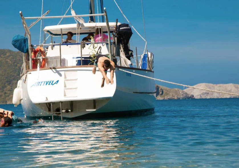 Cooper Maple Leaf 56 | Artivela