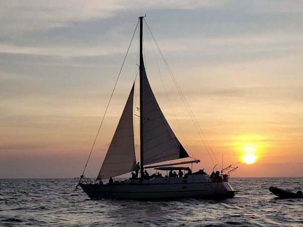 Cooper Maple Leaf 56 | Artivela