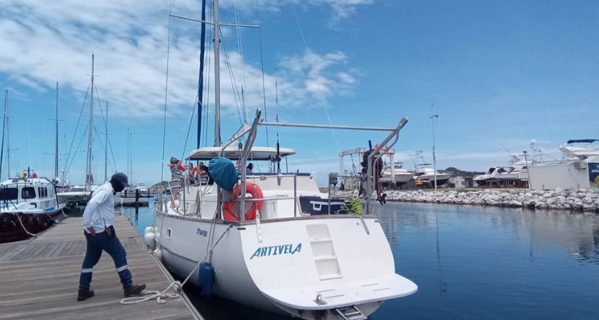 Cooper Maple Leaf 56 | Artivela