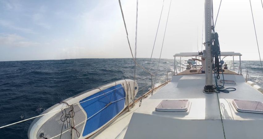 Cooper Maple Leaf 56 | Artivela