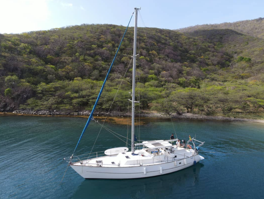 Cooper Maple Leaf 56 | Artivela