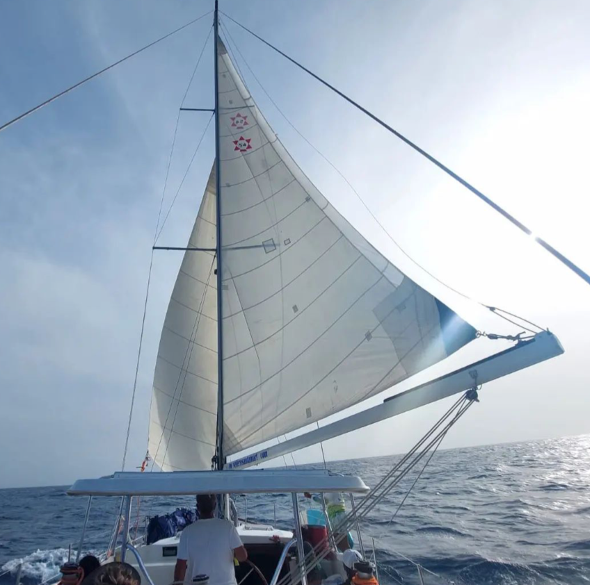 Cooper Maple Leaf 56 | Artivela