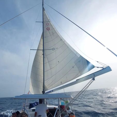 Cooper Maple Leaf 56 | Artivela