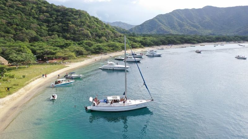 Cooper Maple Leaf 56 | Artivela