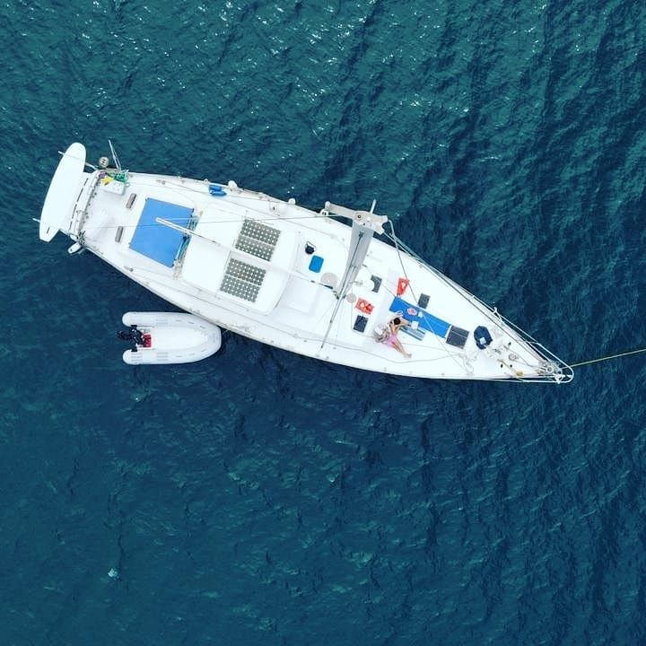 Cooper Maple Leaf 56 | Artivela