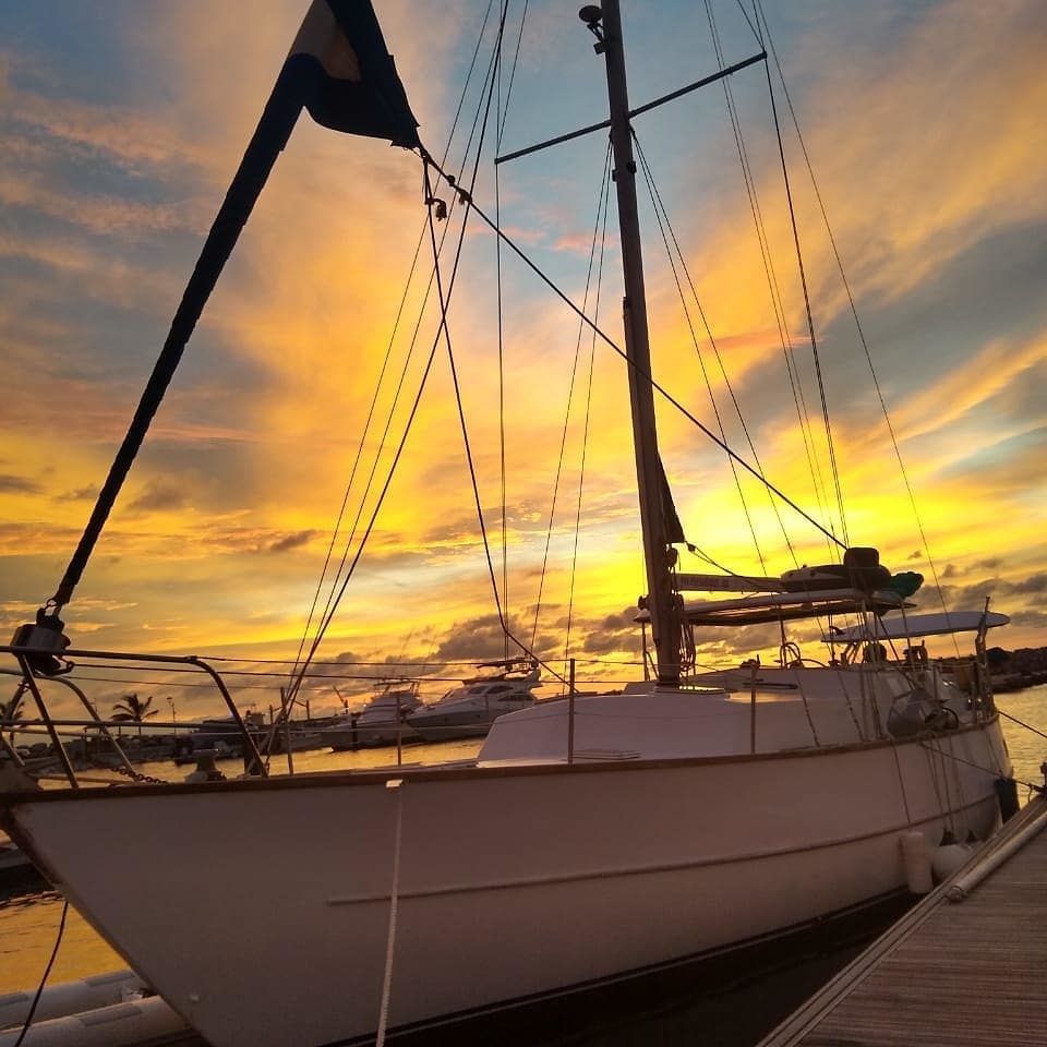 Cooper Maple Leaf 56 | Artivela