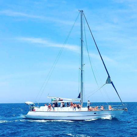 Cooper Maple Leaf 56 | Artivela