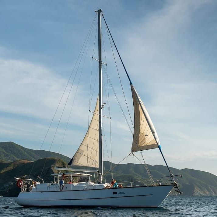 Cooper Maple Leaf 56 | Artivela