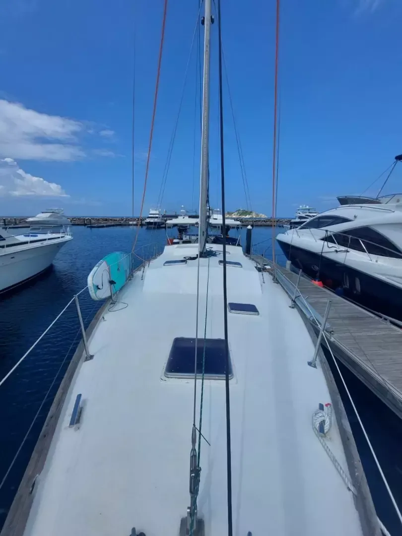 Cooper Maple Leaf 56 | Artivela