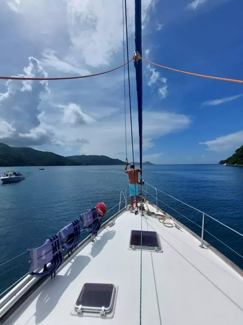 Cooper Maple Leaf 56 | Artivela