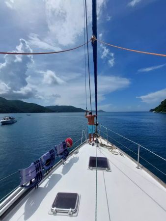 Cooper Maple Leaf 56 | Artivela