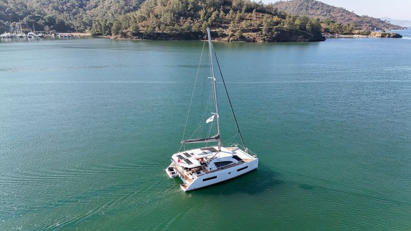 Leopard 40 | Panda Joy