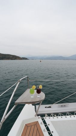 Leopard 40 | Panda Joy