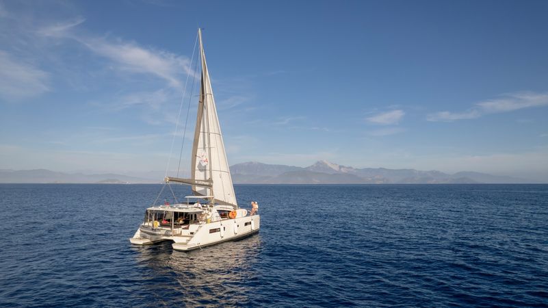 Leopard 40 | Panda Joy