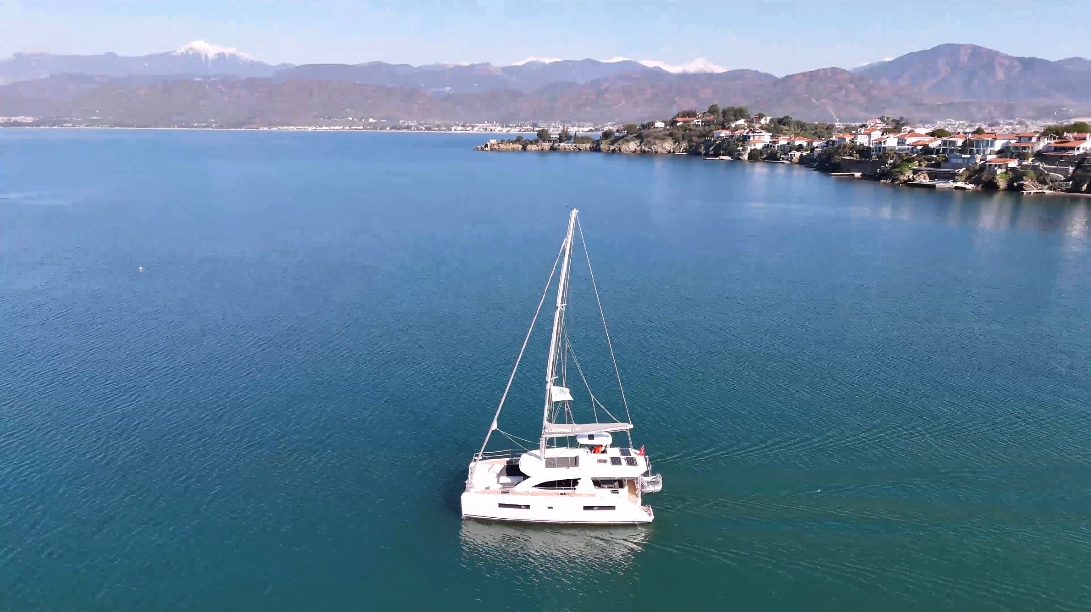 Leopard 40 | Panda Joy