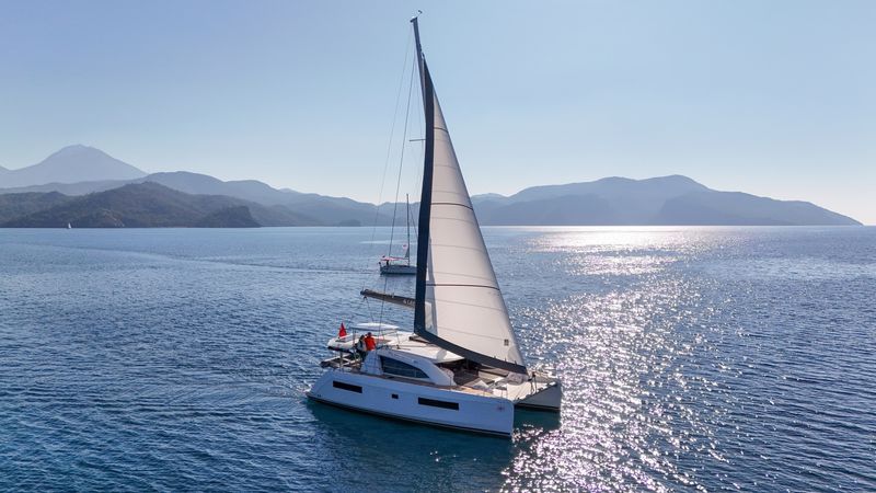 Leopard 40 | Panda Joy