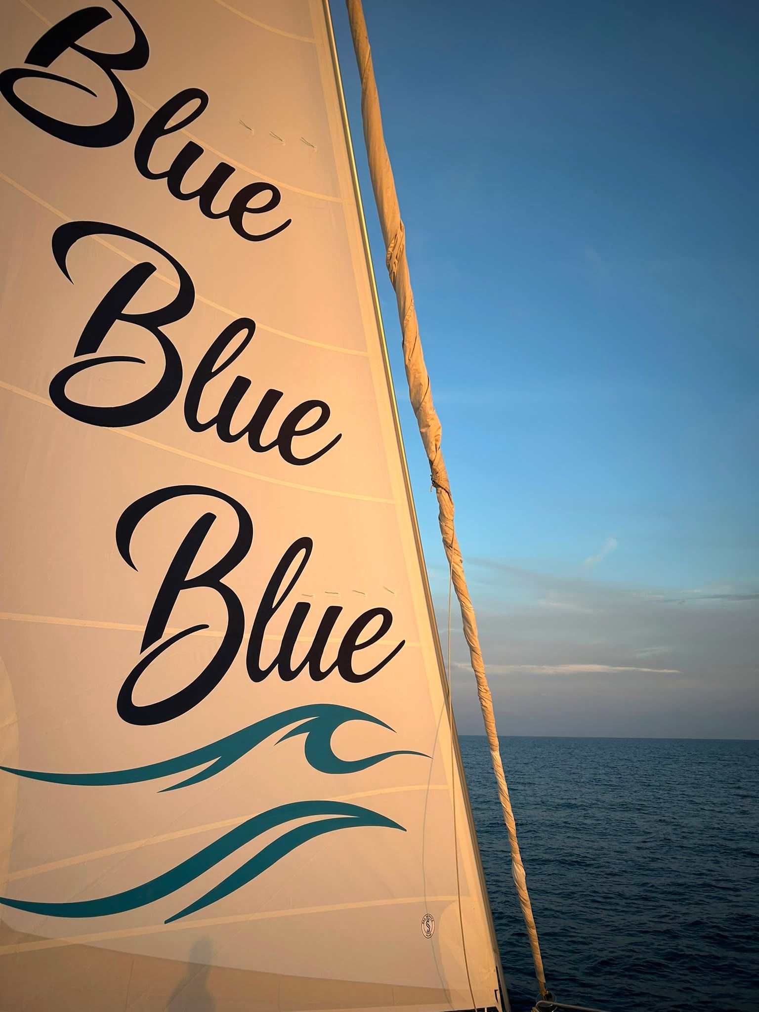 Bali 5.4 | Blue Blue Blue