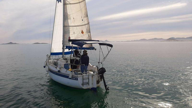 Daimio 23 | Virazon 2