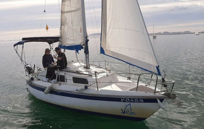 Daimio 23 | Virazon 2