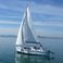 Russell Marine Vivacity 20 | Virazoncito