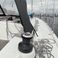 Bavaria C38 | Mola 23 Rostock