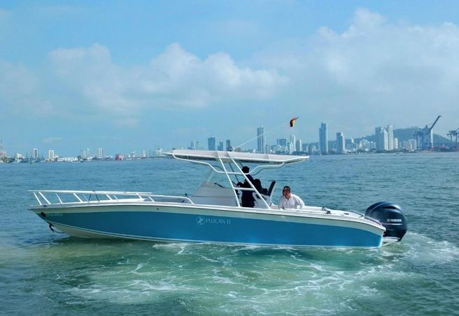 Marlin 33 | Pelican 2