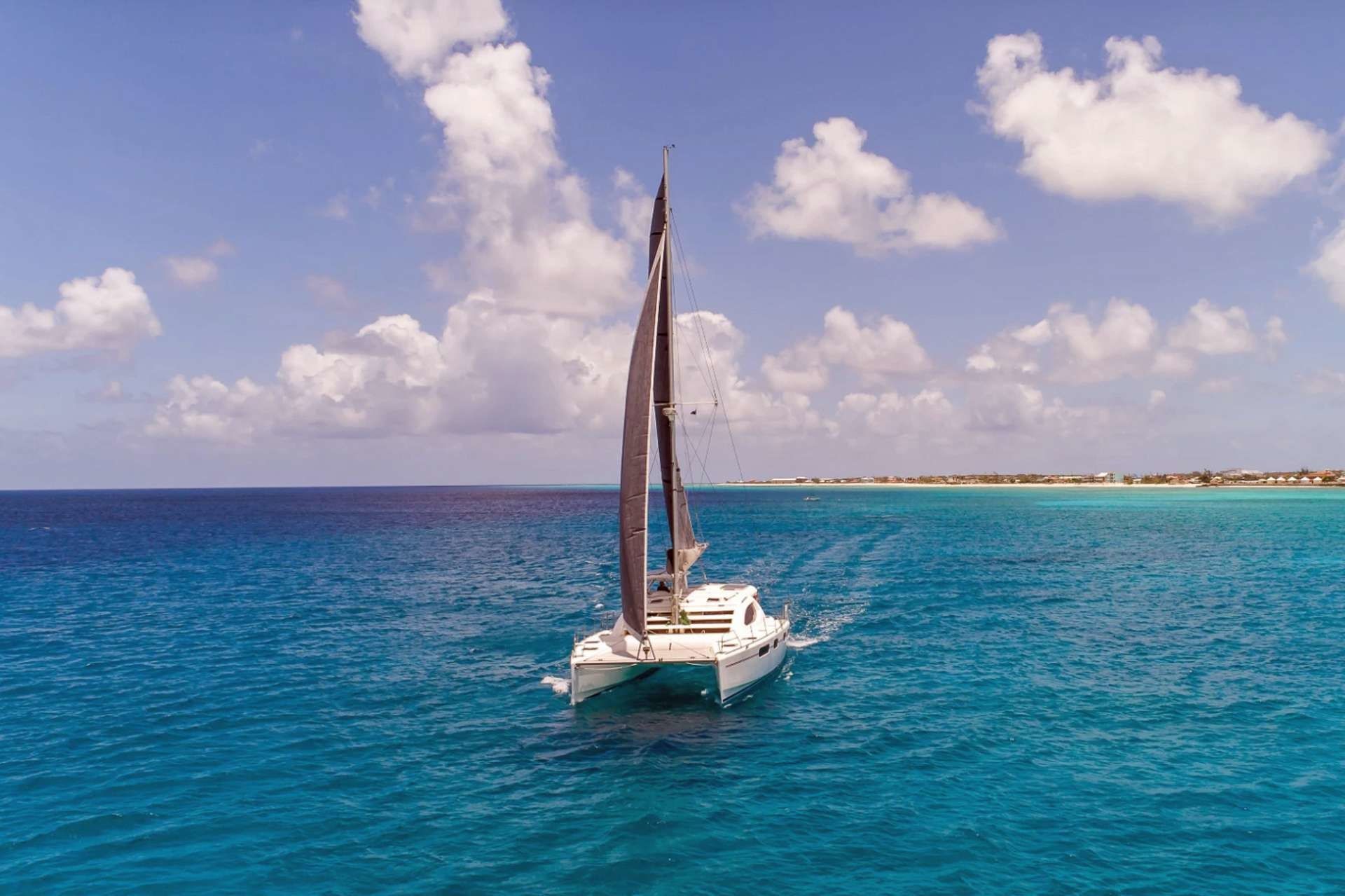 Leopard 46 | Destiny 3