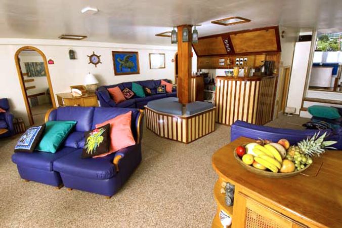 Custom Built Trimaran | Cuan Law