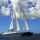 Custom Built Trimaran | Cuan Law