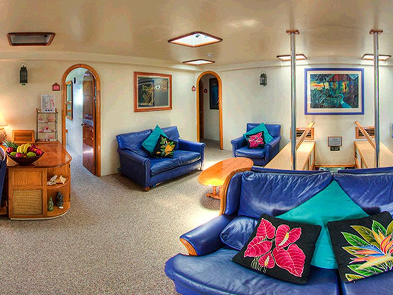 Custom Built Trimaran | Cuan Law