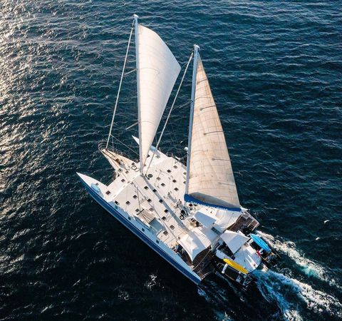 Custom Built Trimaran | Cuan Law