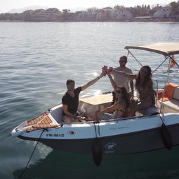 Nireus 490 | Mango
