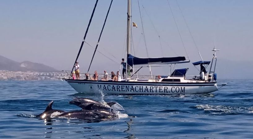 Maurice Thivent Roc | Lamacarena