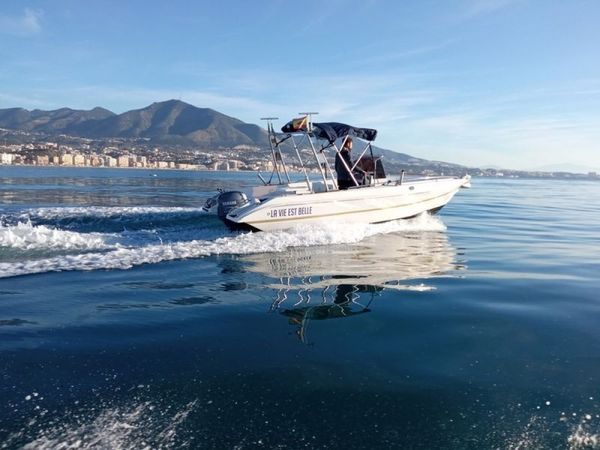 Dipol 400 | La vie est Belle