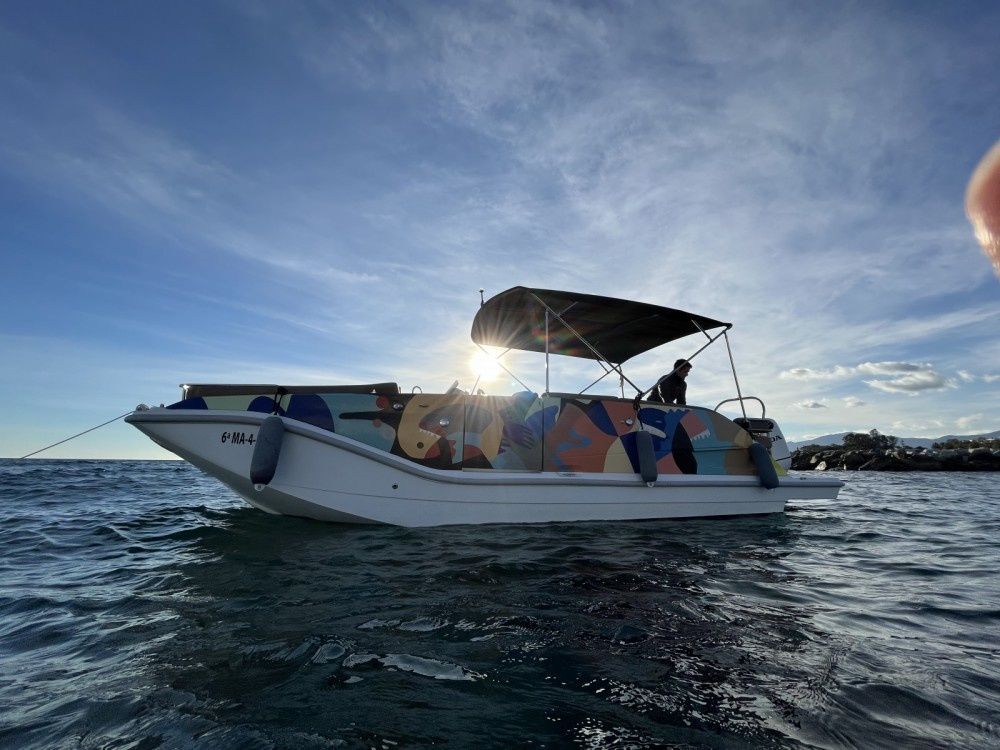 Bayliner Element | Jarana