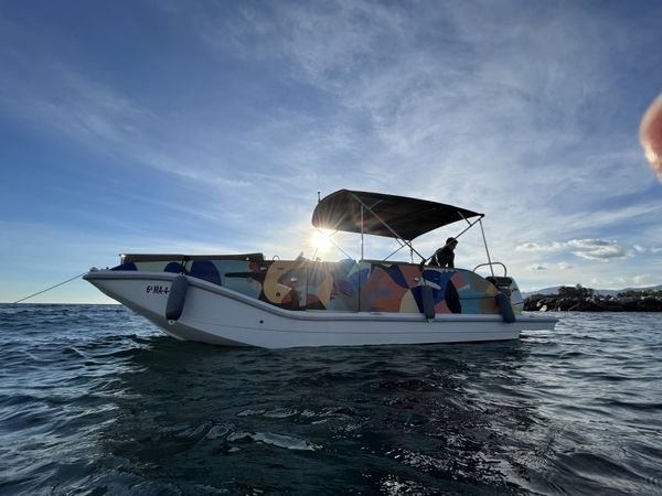 Bayliner Element | Jarana