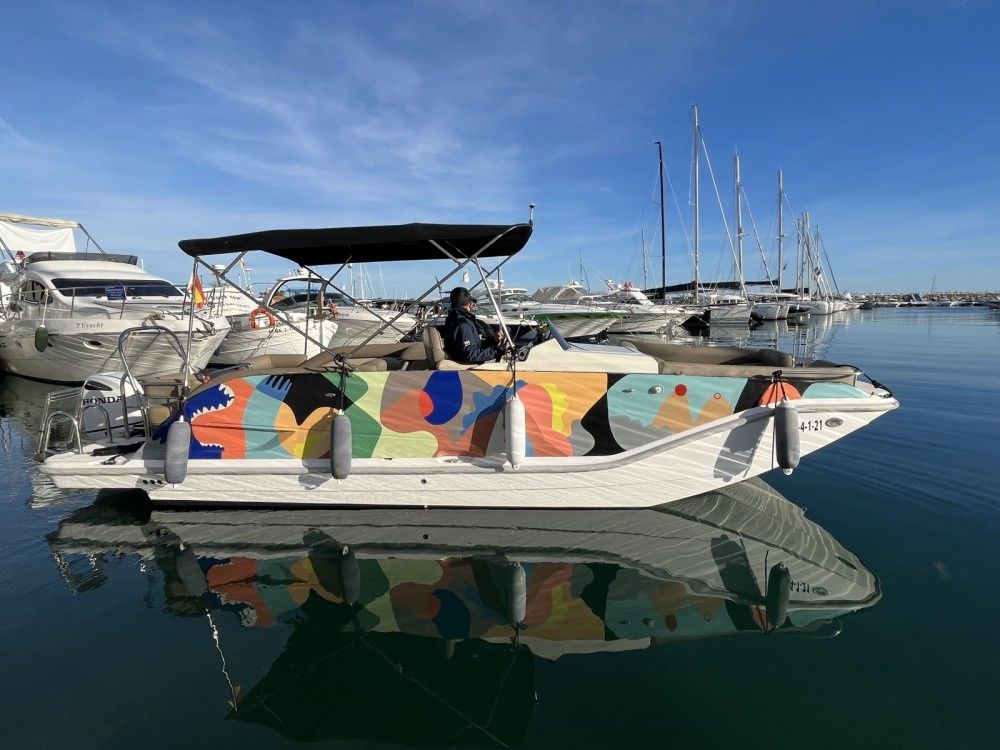 Bayliner Element | Jarana