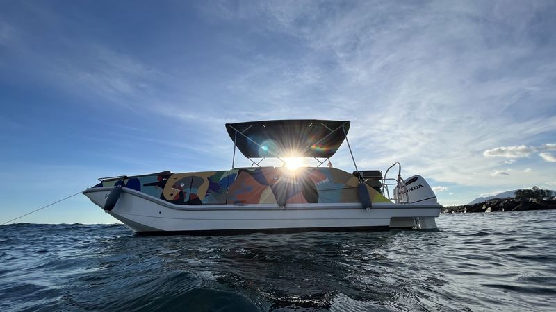 Bayliner Element | Jarana