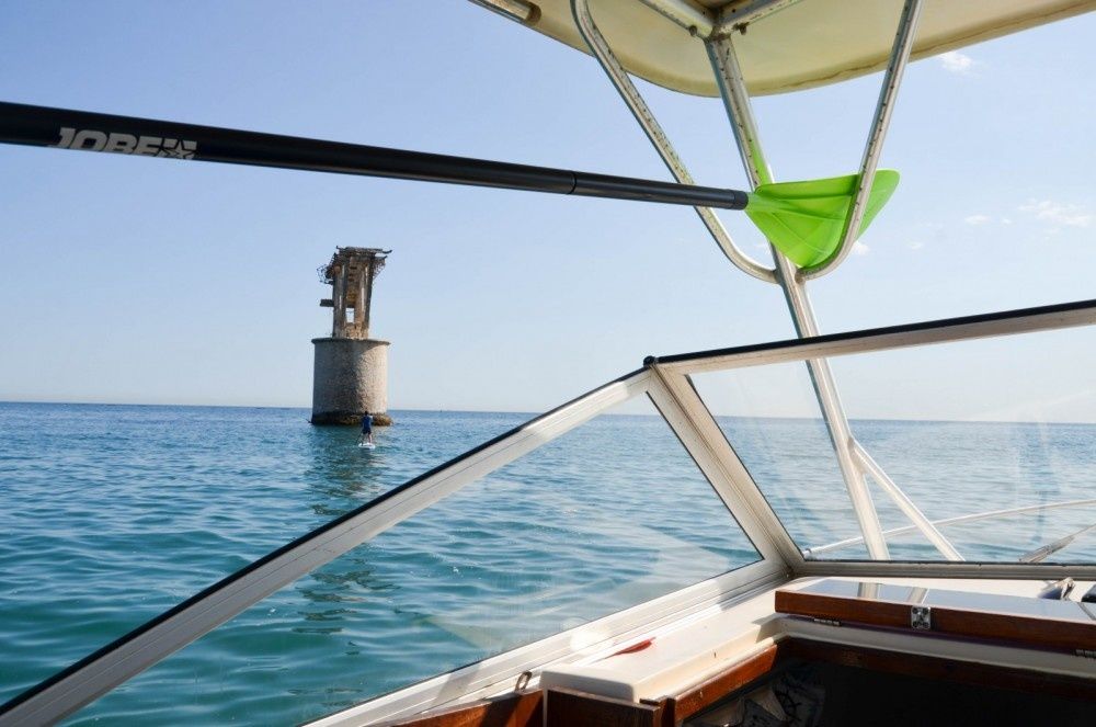 Rodman 790 | Contagio