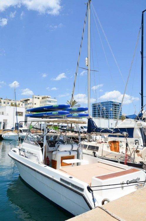 Rodman 790 | Contagio