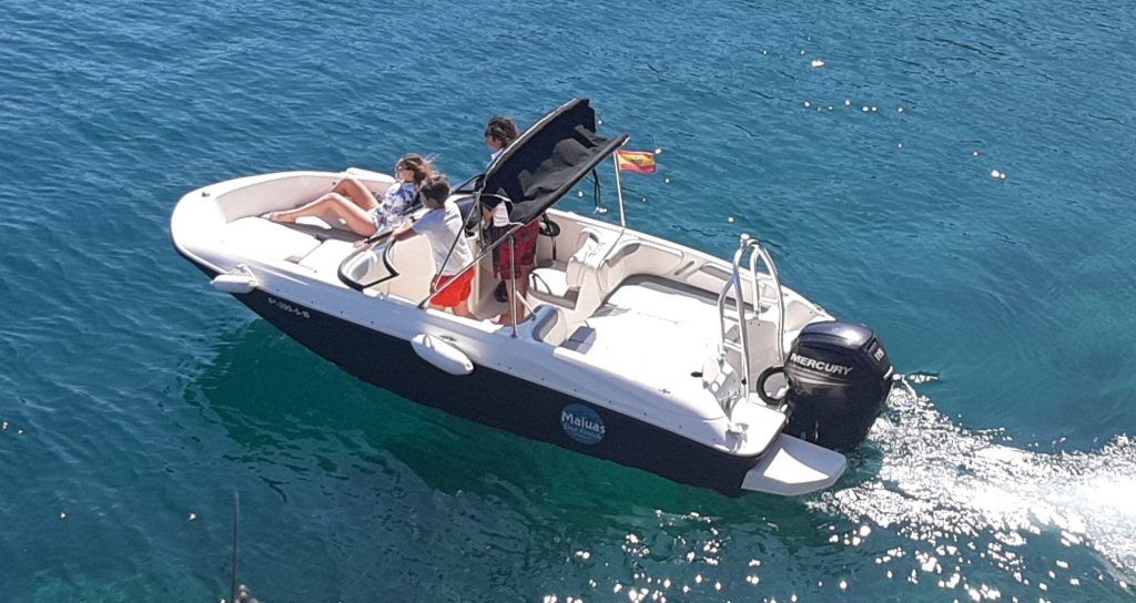 Bayliner Element | Maluas 1.0