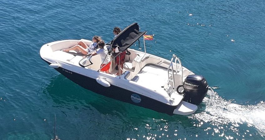 Bayliner Element | Maluas 1.0