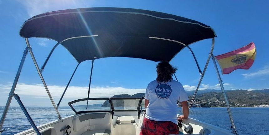 Bayliner Element | Maluas 1.0