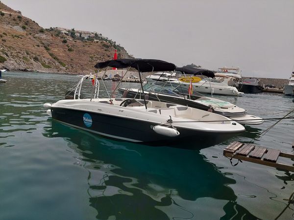 Bayliner E18 | Maluas 2.0