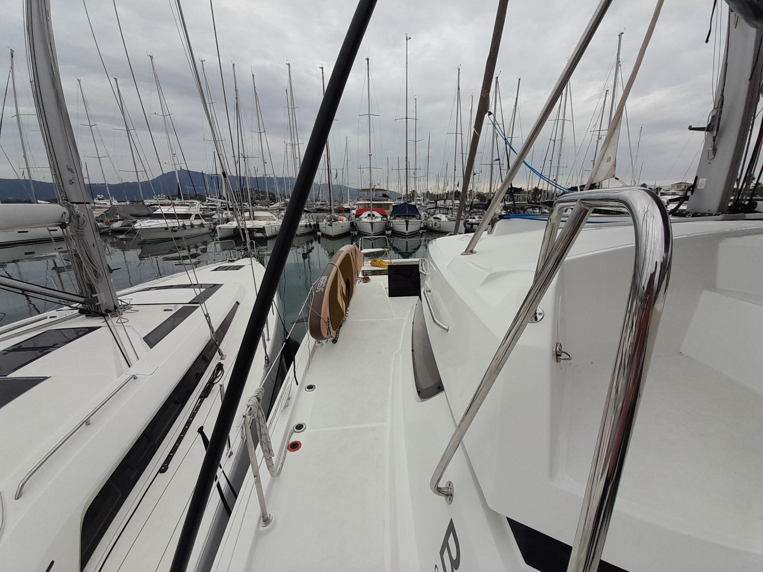 Bali Catspace | Perseids