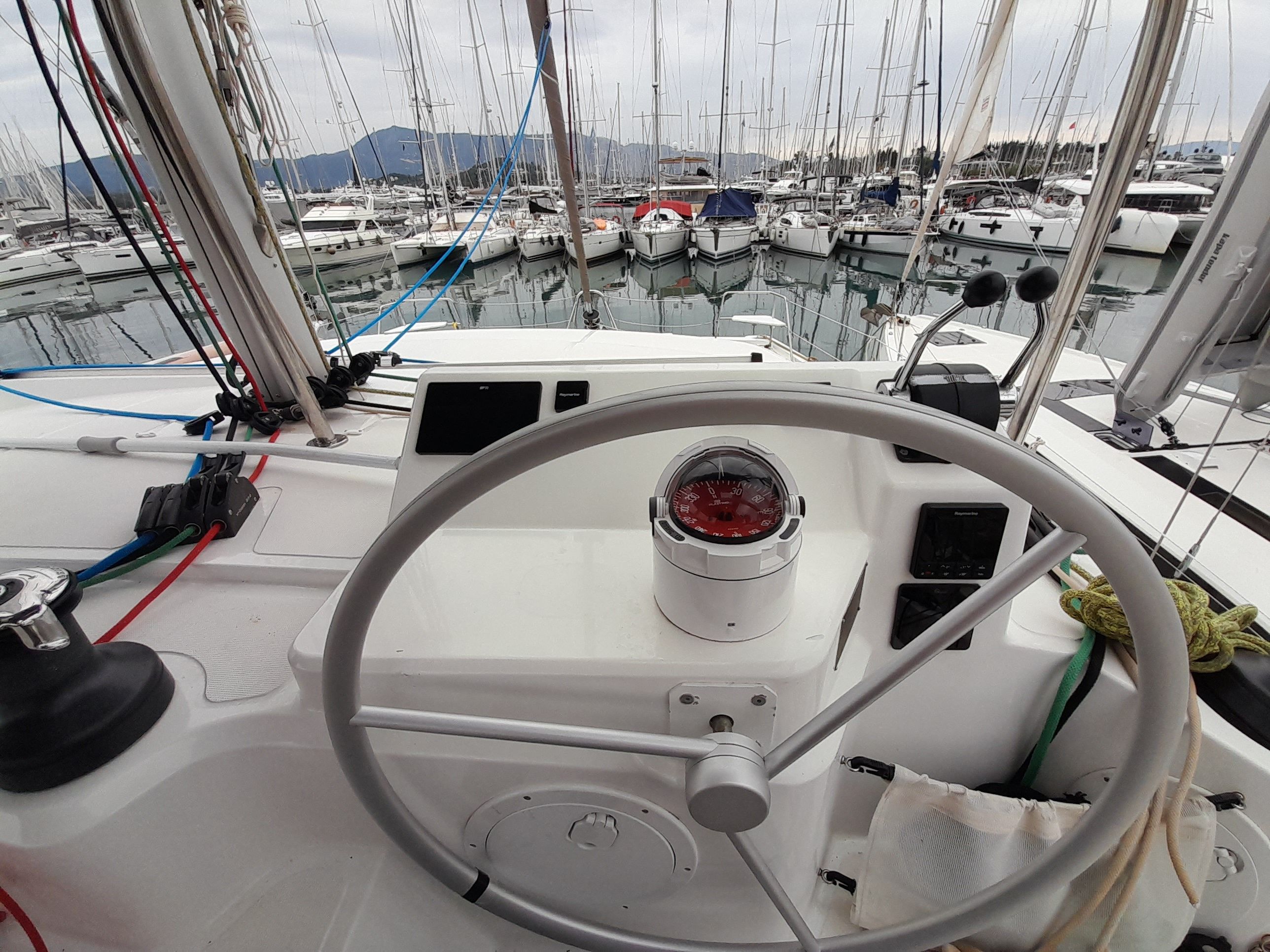 Bali Catspace | Perseids